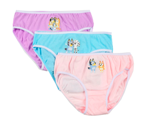 Bluey Friends Childrens Underwear 